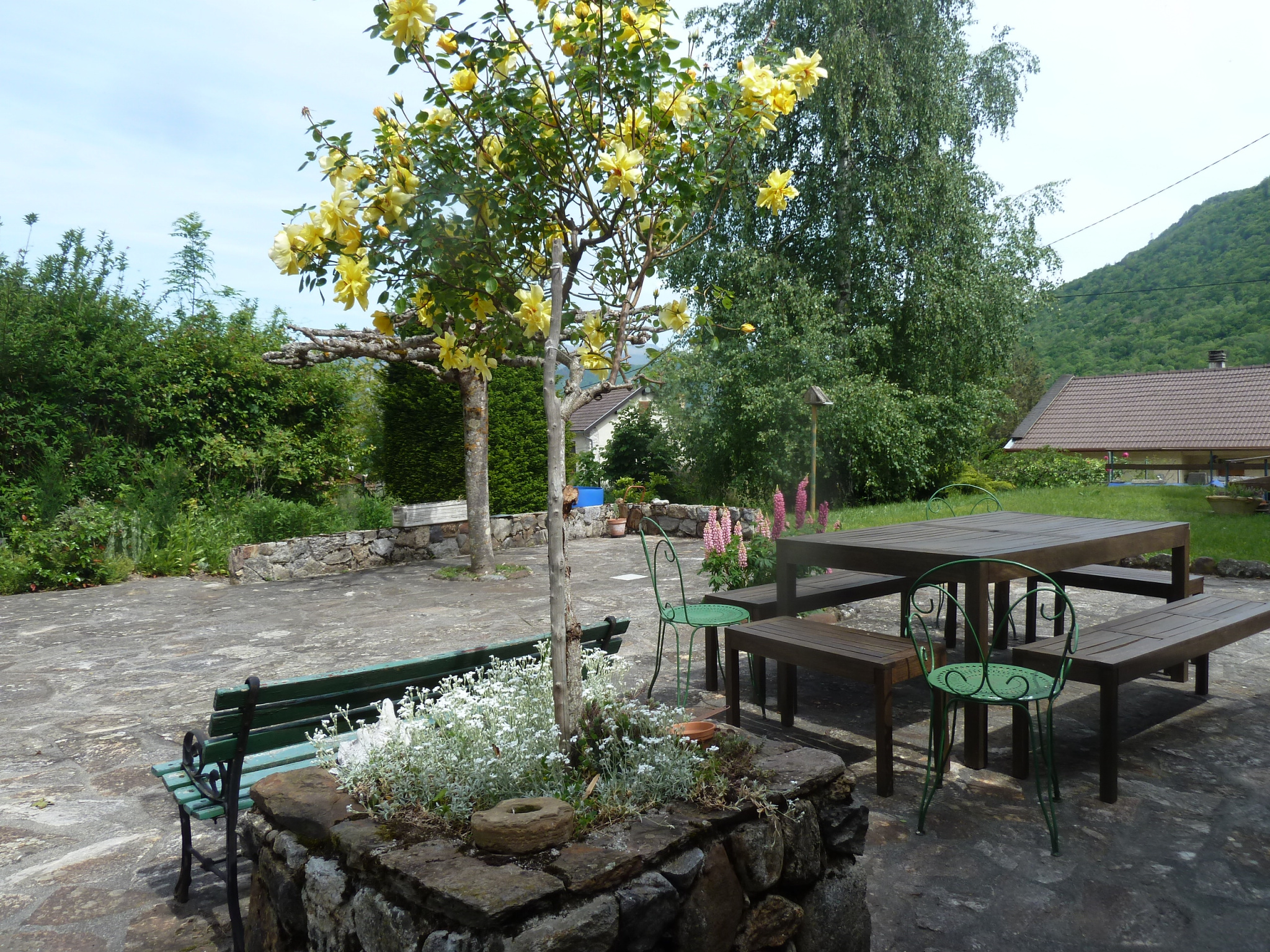 Photo 5